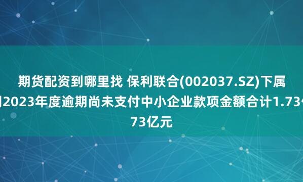 期货配资到哪里找 保利联合(002037.SZ)下属公司2023年度逾期尚未支付中小企业款项金额合计1.73亿元