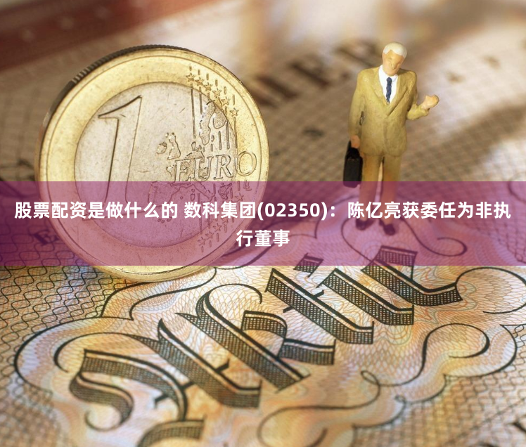 股票配资是做什么的 数科集团(02350)：陈亿亮获委任为非执行董事