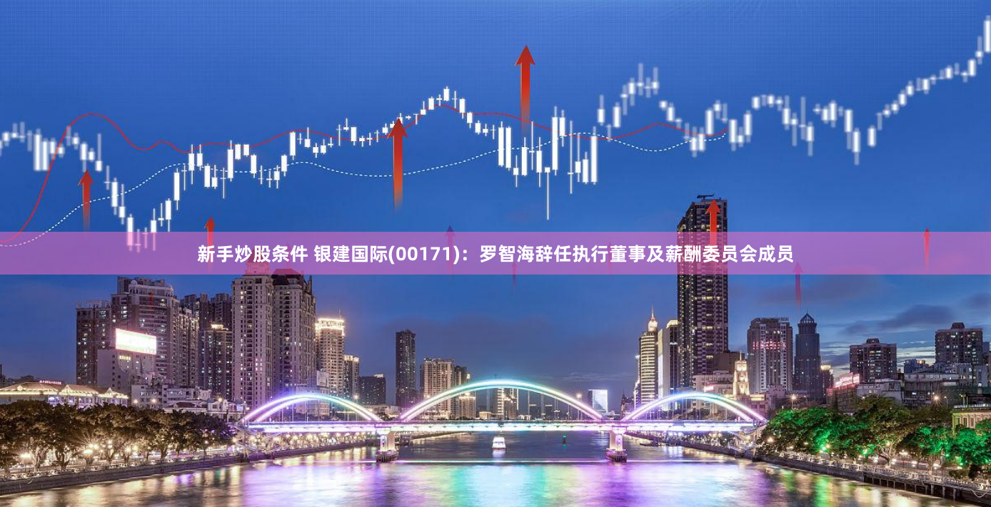 新手炒股条件 银建国际(00171):罗智海辞任执行董事及薪酬委员会成员
