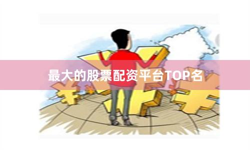 最大的股票配资平台TOP名