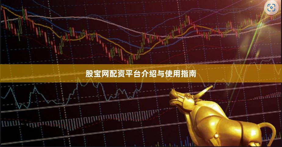 股宝网配资平台介绍与使用指南